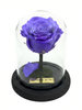 Rosa INTUICIÓN CLASSIC ~ 14 CM