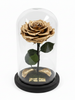 Rosa GOLD SIGNATURE ~ 22.5 CM