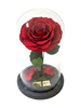 Rosa PASIÓN DIAMOND SIGNATURE ~ 22.5 CM