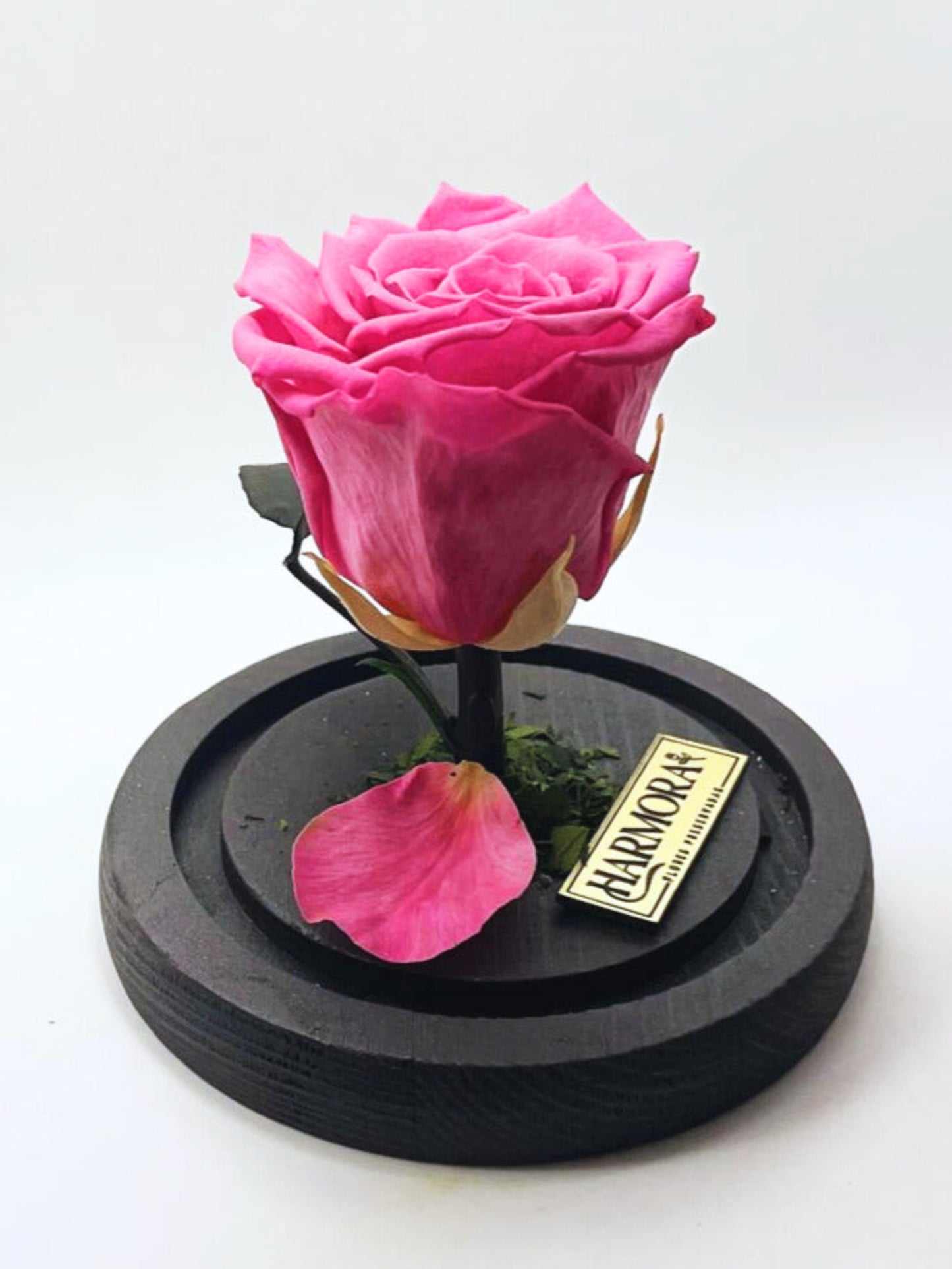 rosa gratitud