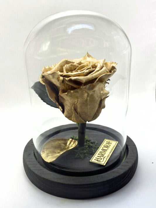 Rosa Gold