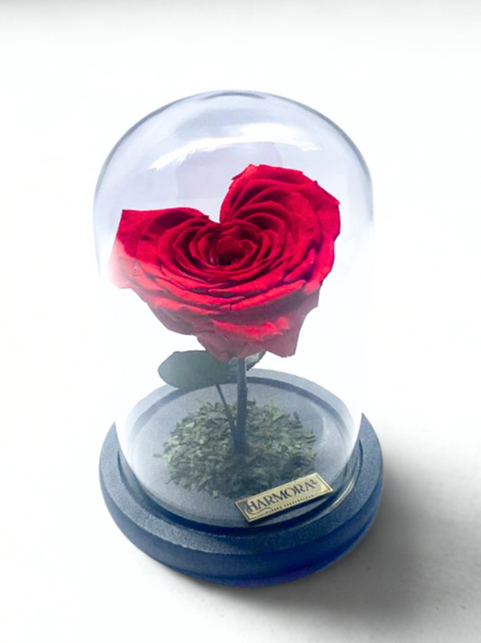 Rosa Corazón XL