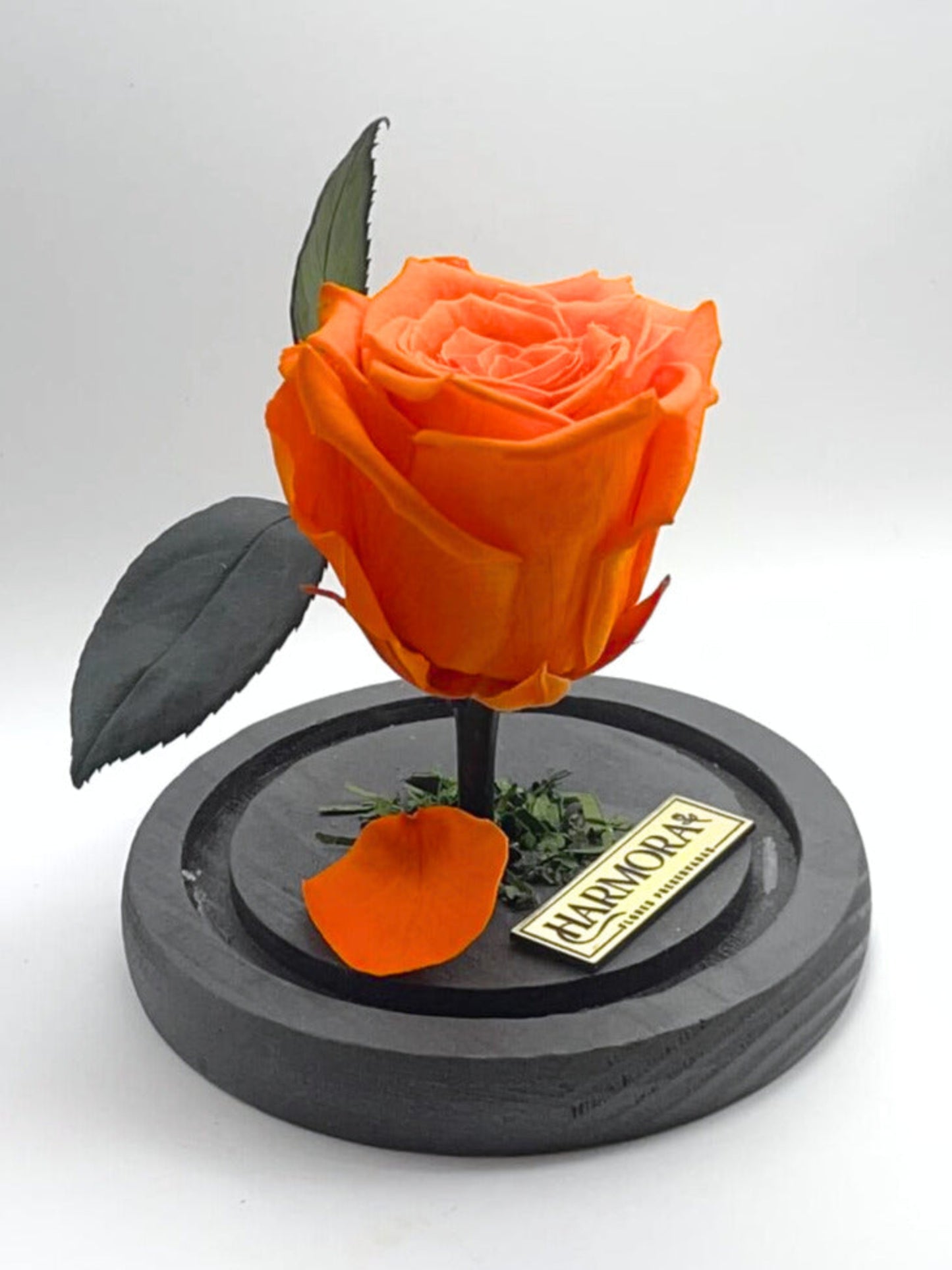 rosa optimista