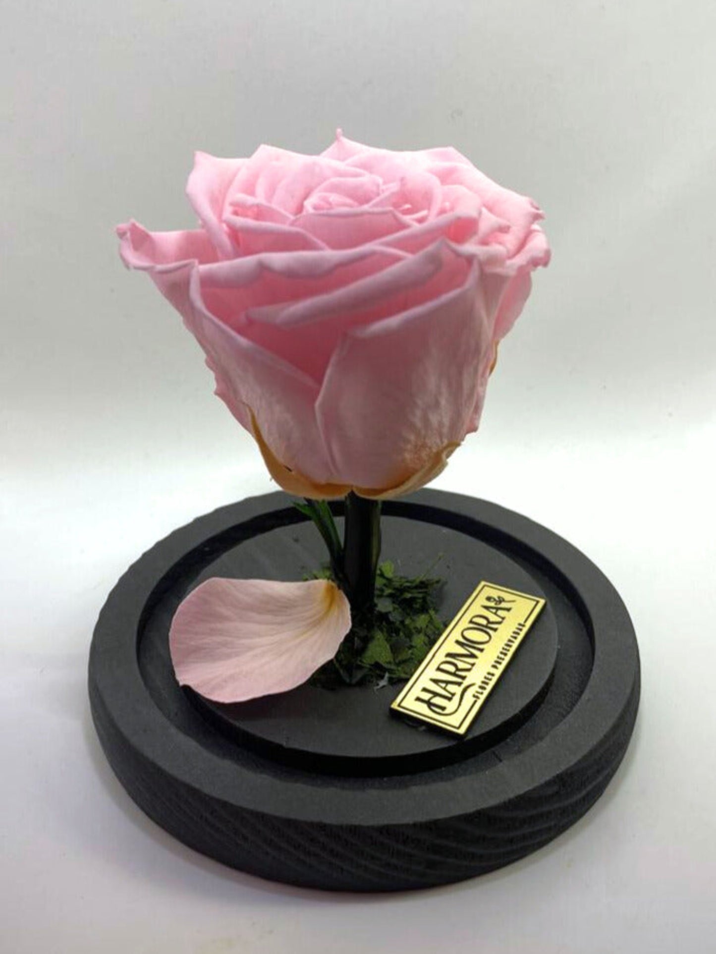 rosa dulzura