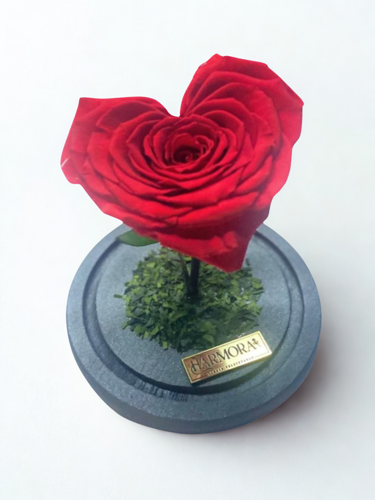 rosa corazón xl