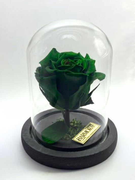 Rosa ESPERANZA