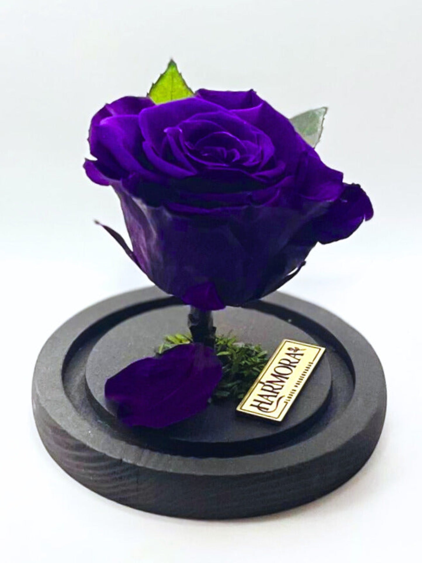 rosa introspección