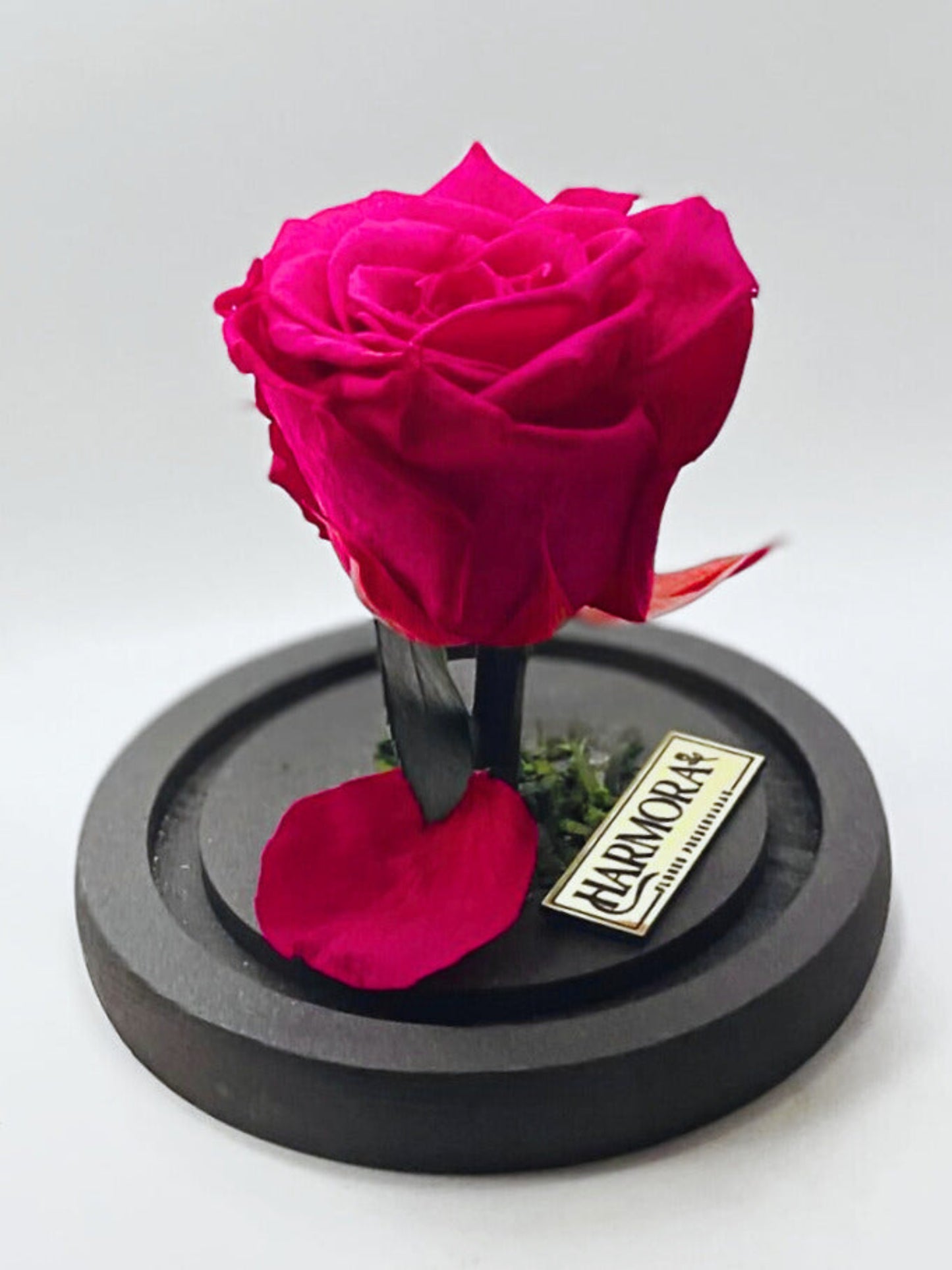 rosa fortaleza