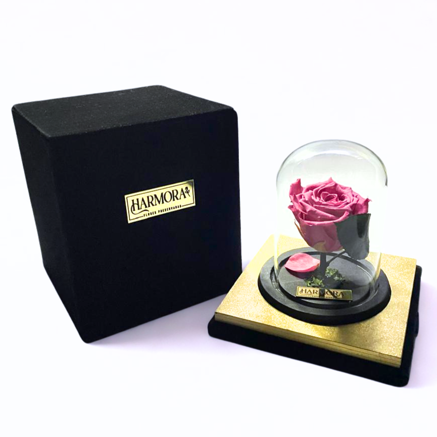 rosa gratitud