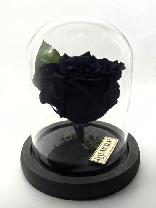 Rosa MÍSTICA