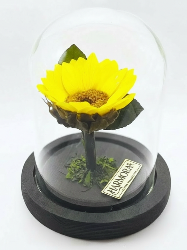 girasol felicidad classic ~ 14 cm