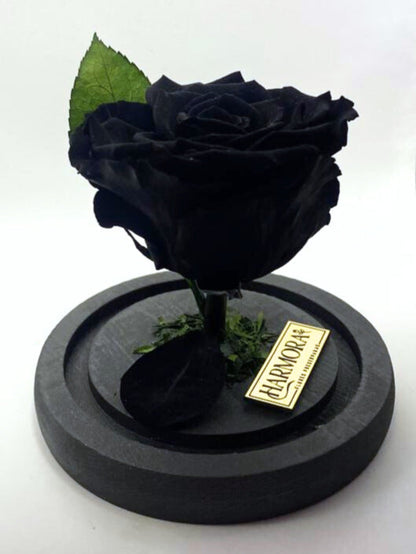 Rosa MÍSTICA