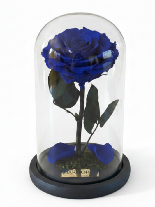 rosa armonía signature ~ 22.5 cm