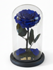 Rosa ARMONÍA SIGNATURE ~ 22.5 CM