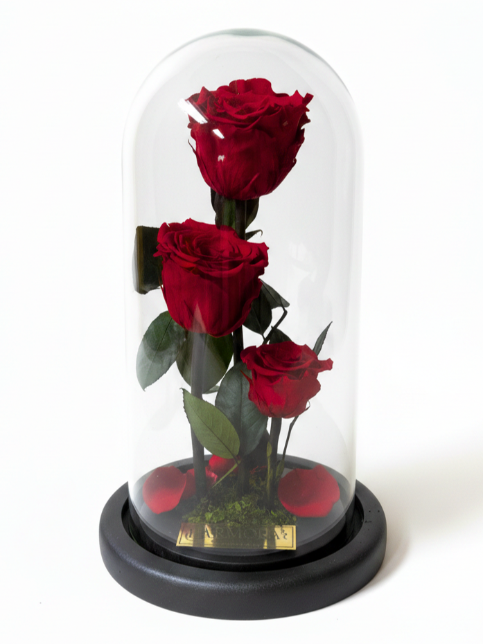 trío pasión luxury ~ 28 cm