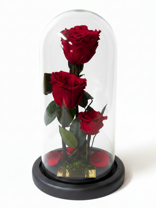 Trío PASIÓN LUXURY ~ 28 CM