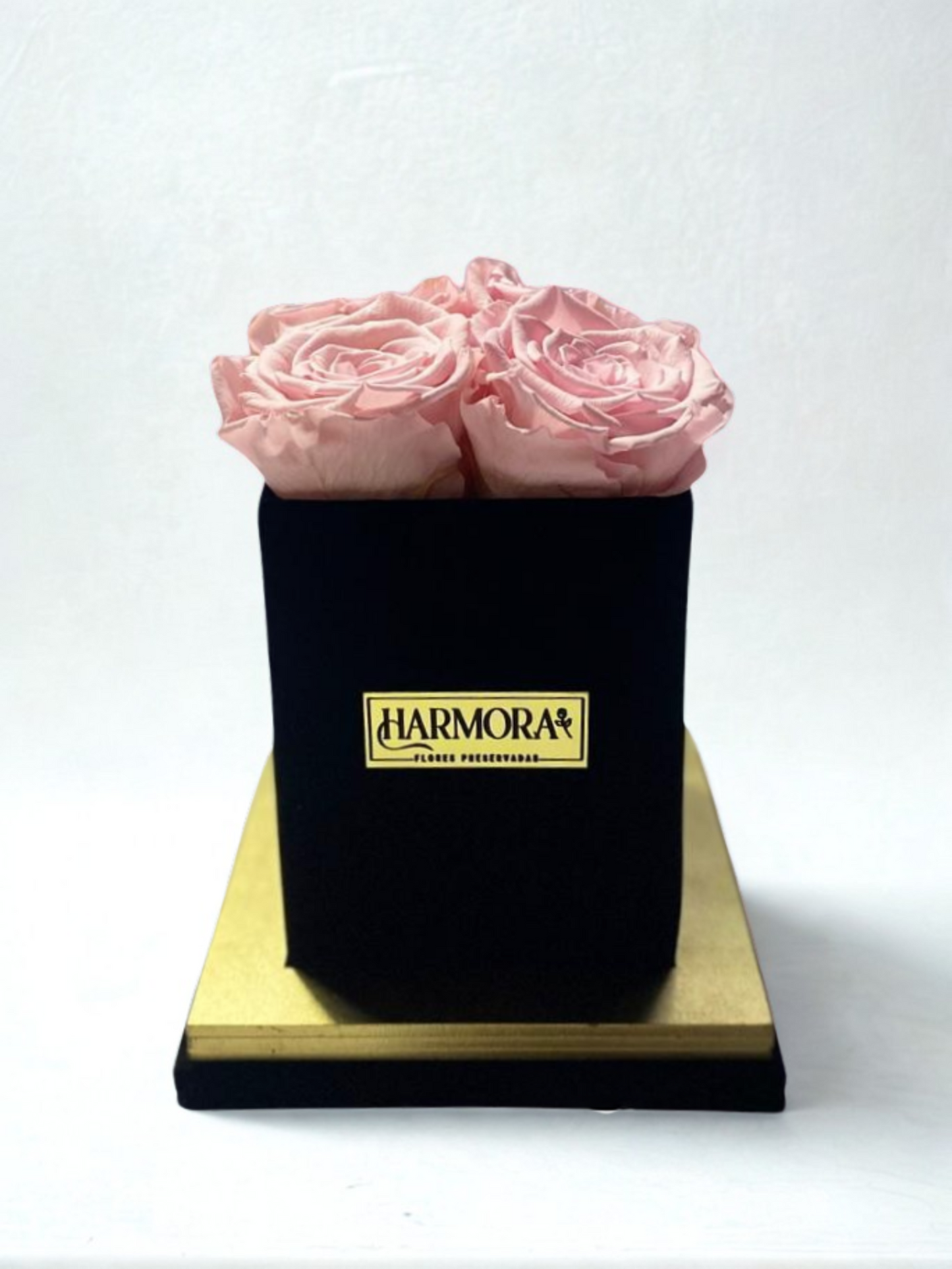 box 4 rosas