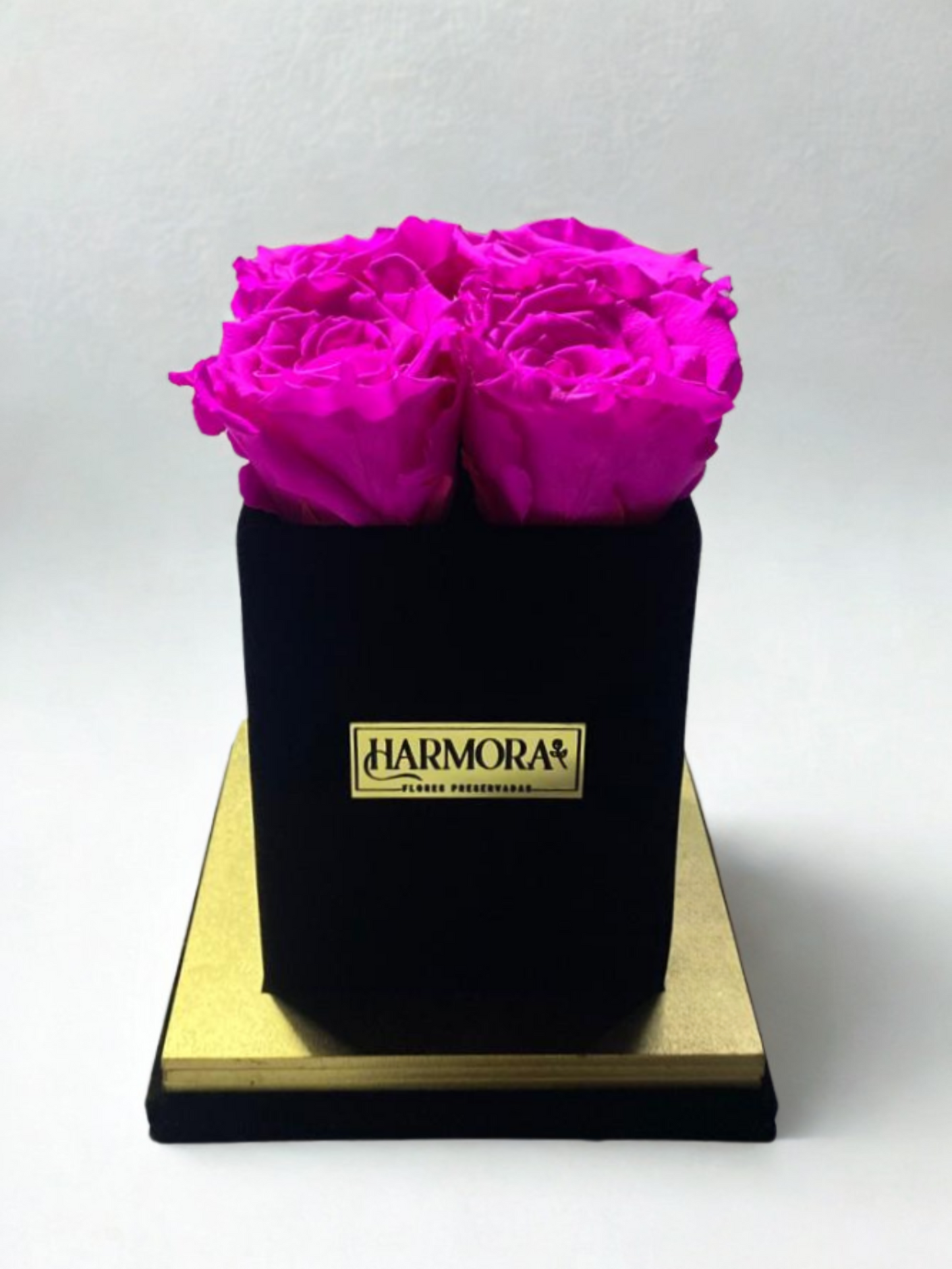box 4 rosas