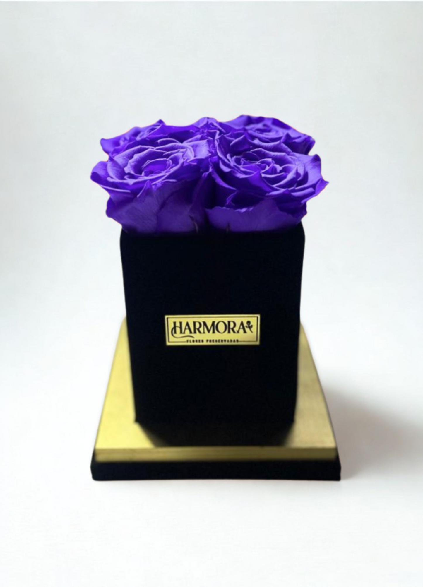box 4 rosas