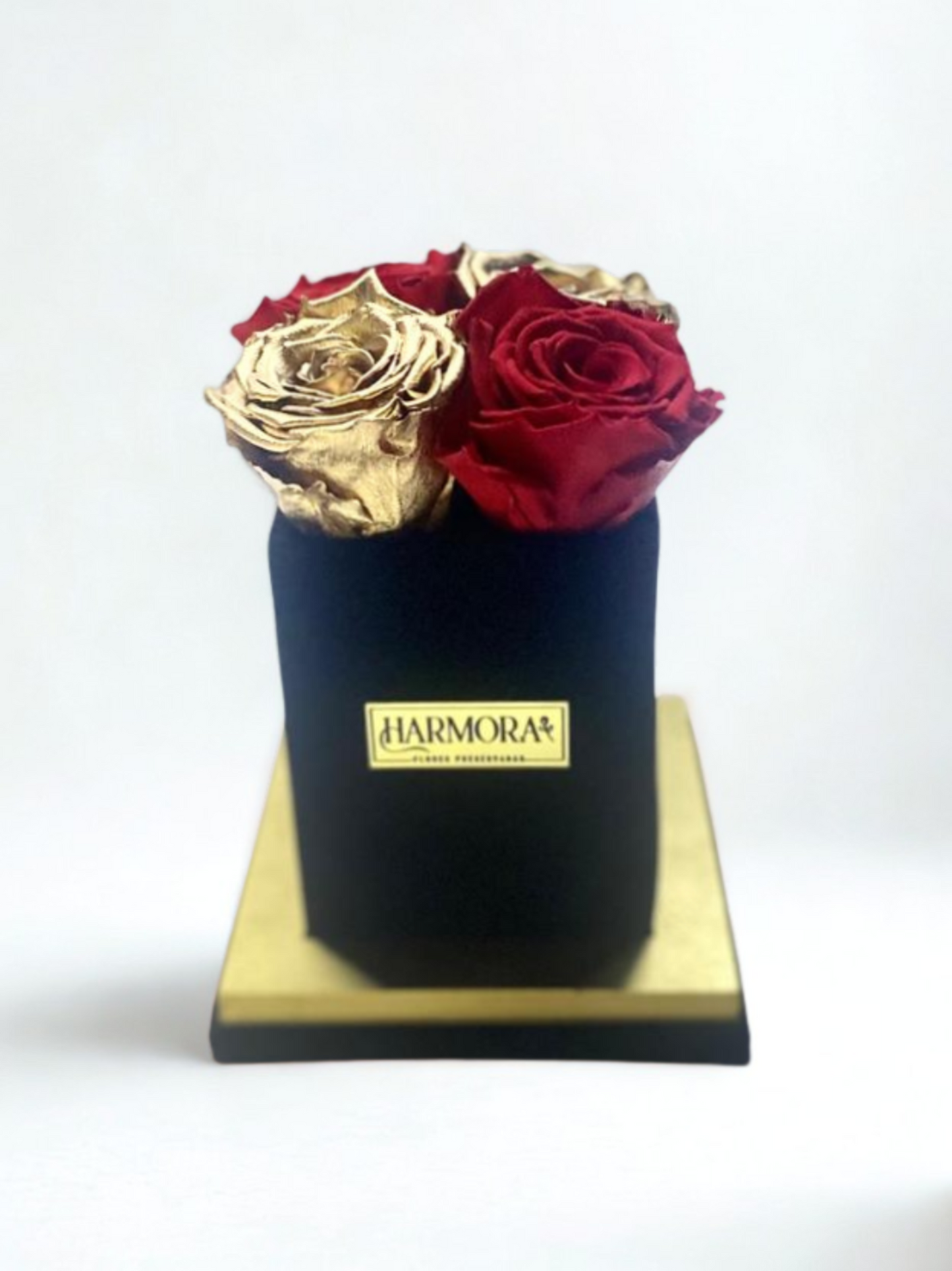box 4 rosas