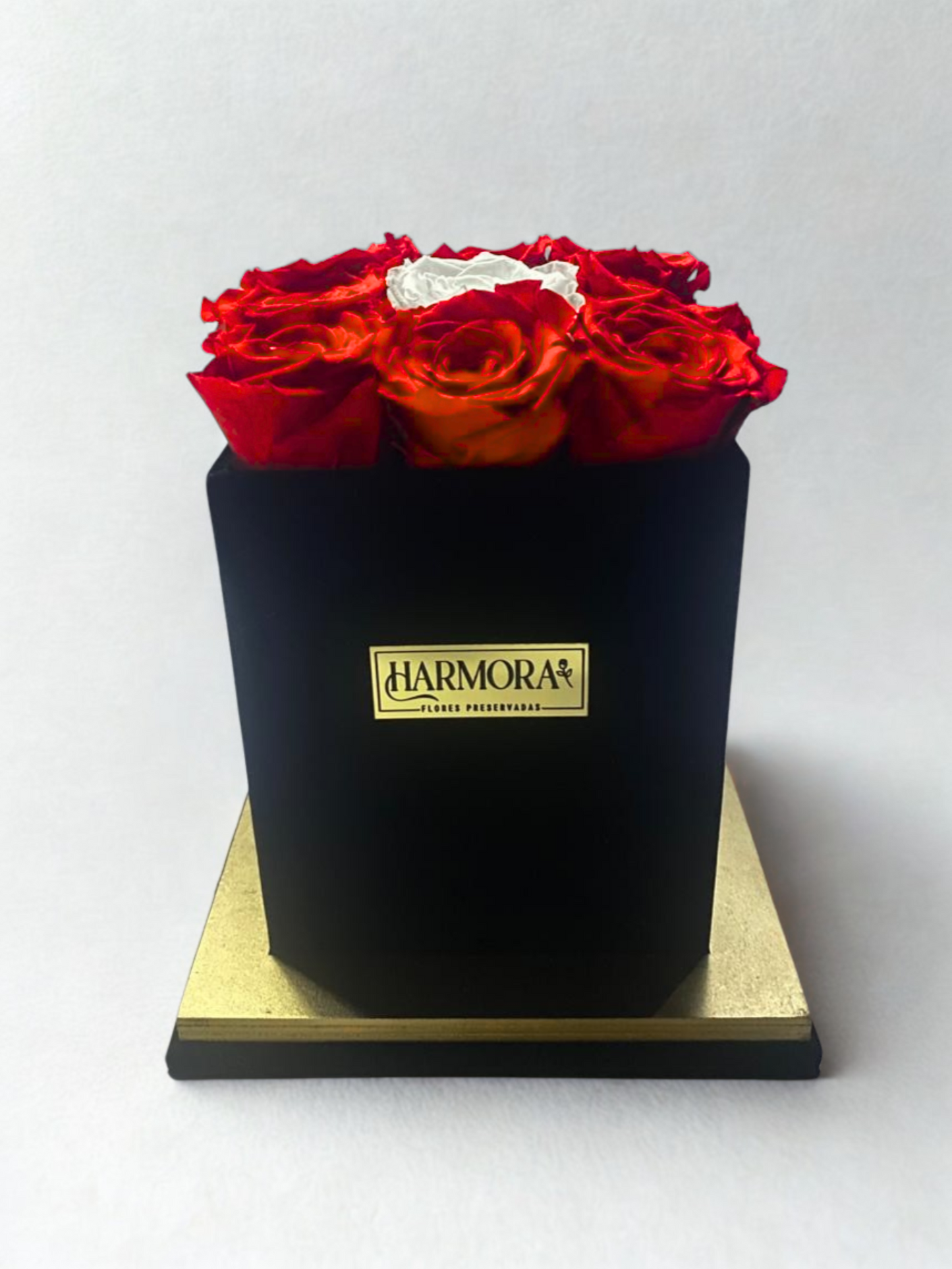 box 9 rosas