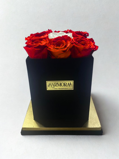 Box 9 rosas