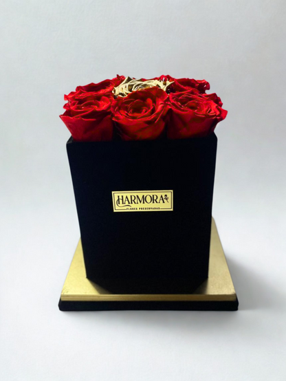 Box 9 rosas