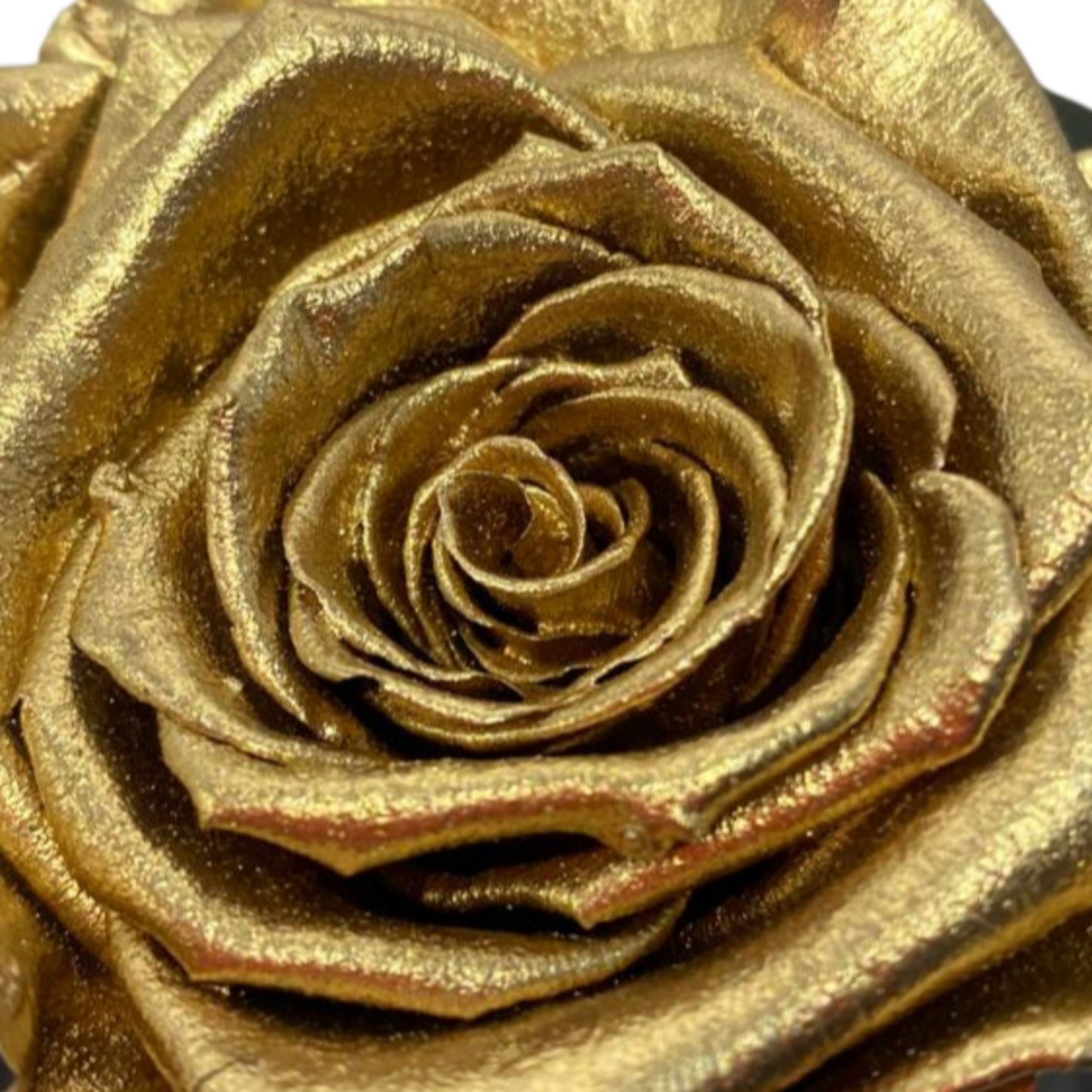rosa gold