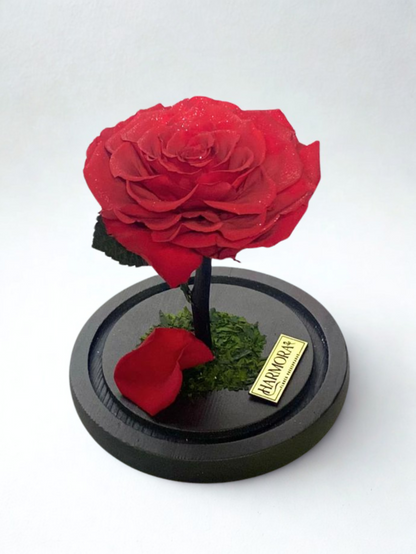 Rosa PASIÓN Diamond XL