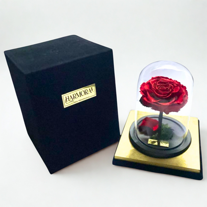 Rosa PASIÓN Diamond XL