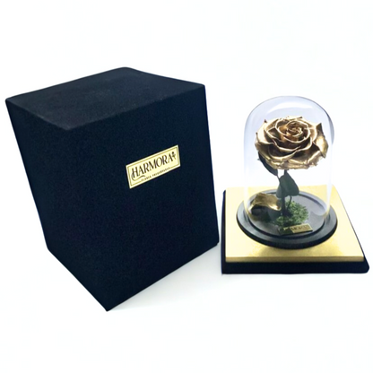 Rosa Gold XL