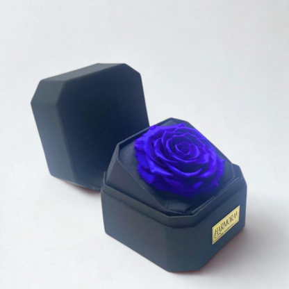 Box de lujo ARMONÍA