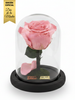 Rosa TERNURA CLASSIC - Edición especial Día de la Madre ~ 14 CM