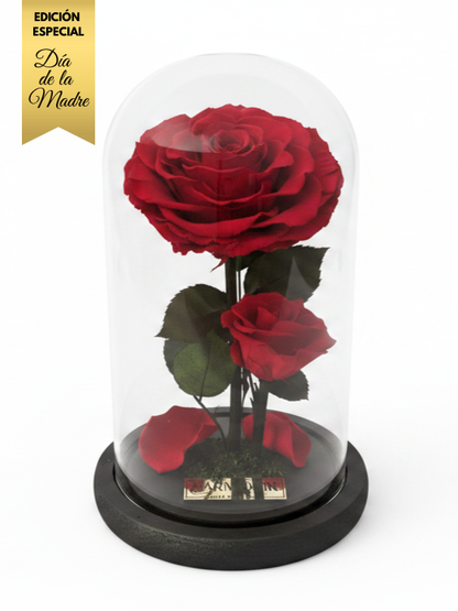 Amor de Madre – Edición Especial Día de la Madre ~22.5 CM