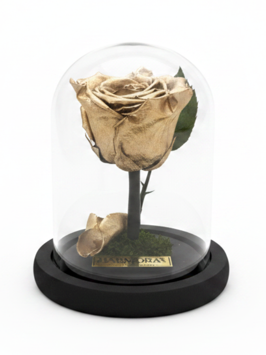 Rosa GOLD CLASSIC ~ 14 CM