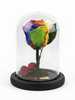 Rosa RAINBOW CLASSIC ~ 14 CM