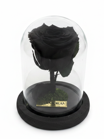 Rosa MÍSTICA CLASSIC ~ 14 CM