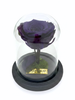 Rosa INTROSPECCIÓN CLASSIC ~ 14 CM