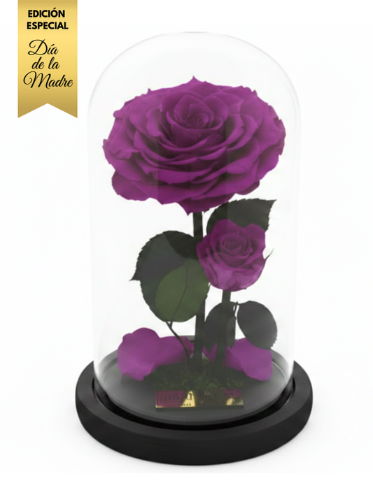 Sabiduría de Madre-Edición especial Día de la Madre ~ 22.5 CM