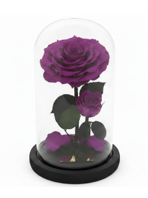sabiduría de madre ~ 22.5 cm