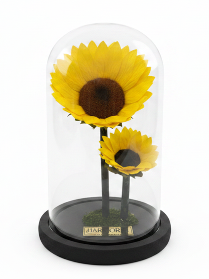 Sol de Mamá  ~ 22 CM