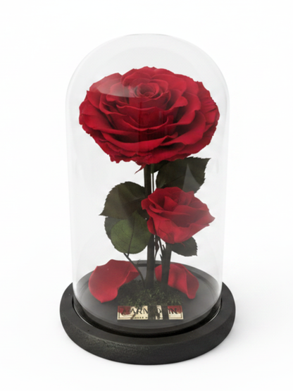 Amor de Madre  ~22.5 CM