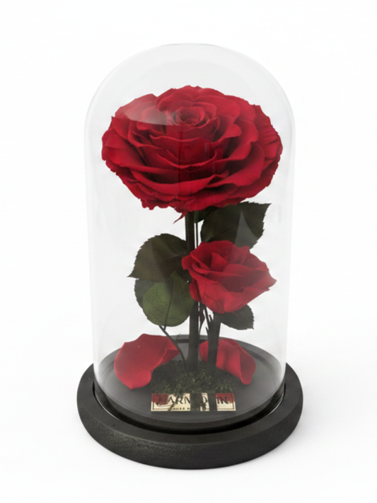 Amor de Madre  ~22.5 CM