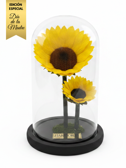 Sol de Mamá - Edición Especial Día de la Madre ~ 22 CM