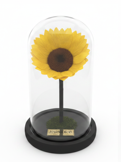 Girasol FELICIDAD SIGNATURE ~ 22.5 CM