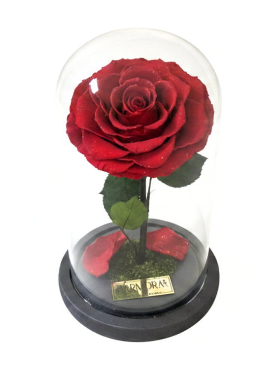 rosa pasión diamond signature ~ 22.5 cm