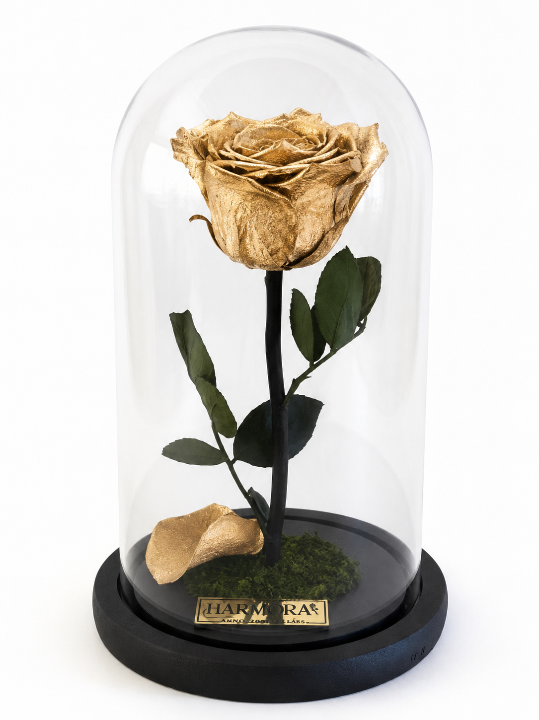 rosa gold elegance 22.5 cm