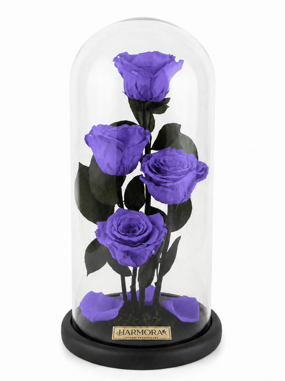 intuición infinity deluxe ~ 36 cm