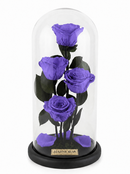 INTUICIÓN INFINITY DELUXE ~ 36 CM