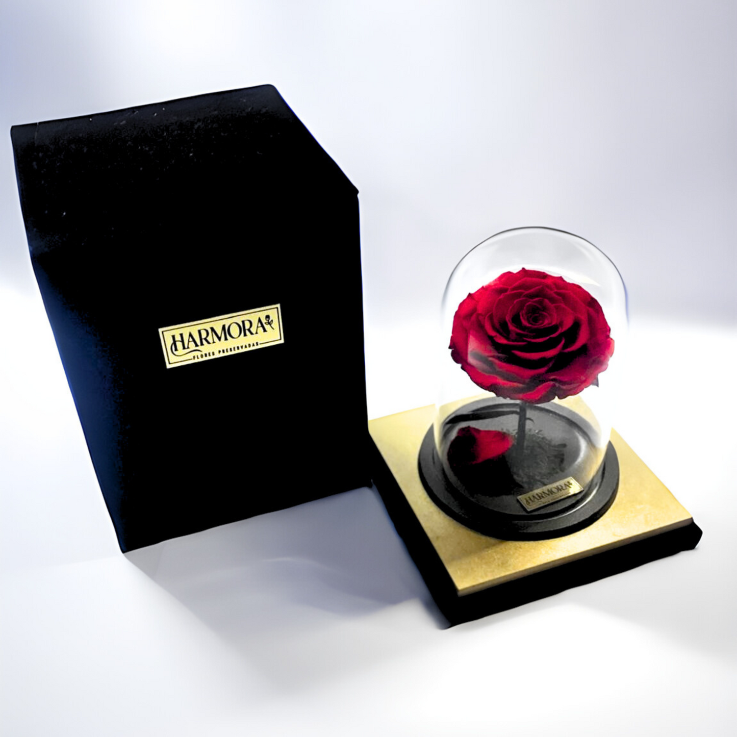 rosa pasión xl
